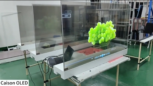 55 inch Transparent Oled Skd Display Digital Signage